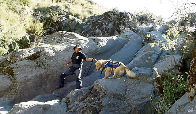 USAM lleva perros al Misti para ubicar a estudiante perdido en el Misti 