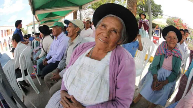 Estado reconoce que las personas adultas mayores están sujetos a derechos y deben ser tratados sin discriminación. (Foto: Andina)