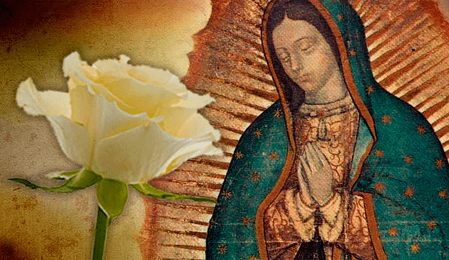 La Rosa de Guadalupe: así representó una pandemia el programa mexicano [VIDEO]