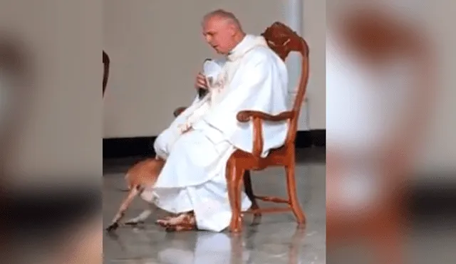 Facebook viral: perro irrumpe a párroco durante misa y la reacción de religioso asombra a todos [VIDEO]