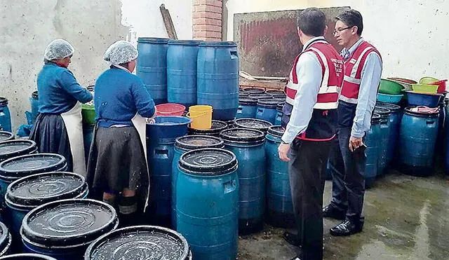Cajamarca: hallan a dos niñas trabajando en planta procesadora de hongos