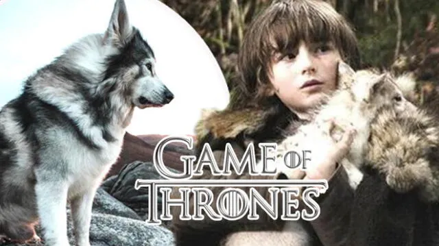 Odín, el perro que fue parte de Game of Thrones falleció a los 10 años - Fuente: difusión