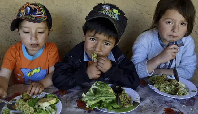 Aún hay gran cantidad de niños con anemia y desnutrición crónica en el Perú.