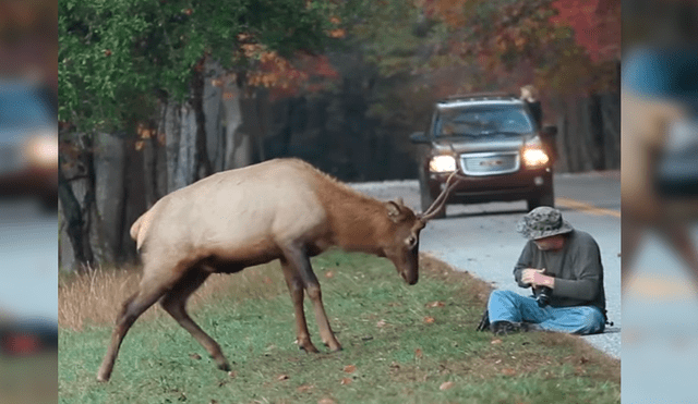 Vía Facebook. La actitud del hombre tras recibir el furioso ataque del animal dejó a más de uno con la boca abierta