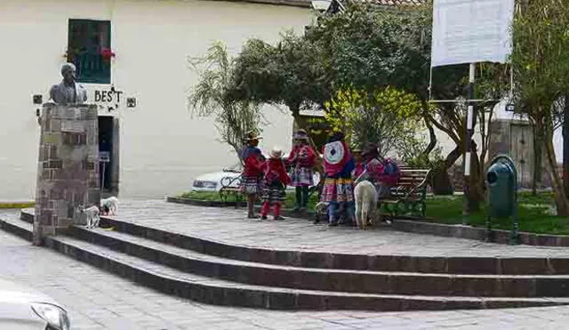 Proponen prohibir auquénidos en el centro de Cusco