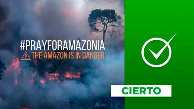Imagen referencial sobre el HT #PrayforAmazonia en Twitter.