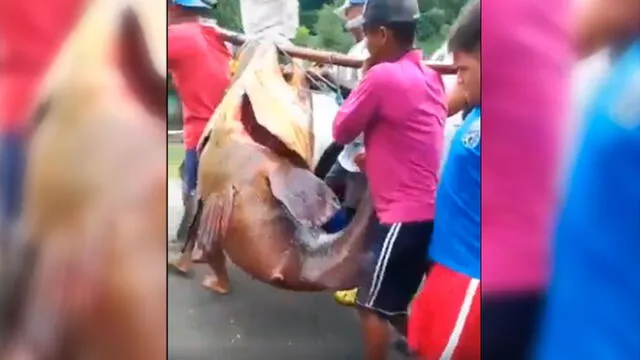 YouTube viral: pescadores hallan pez 'monstruo' y miles se aterran 