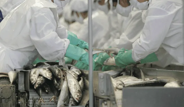 Disponen publicación de proyecto que aprueba la norma sanitaria para pescados congelados
