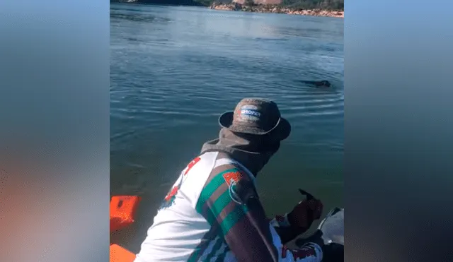 Un hombre publicó un video viral de YouTube tras rescatar de un inmenso lago a una misteriosa criatura, pero jamás imaginó que su aspecto lo dejaría aterrado.
