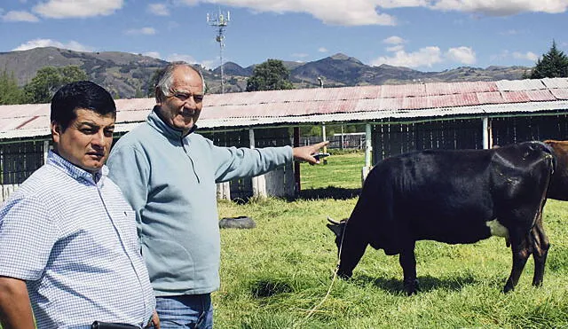 Denuncian que Gloria y Nestlé estafan a ganaderos en Cajamarca