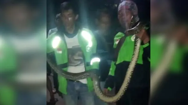 Desliza para enterarte de lo que encontraron dentro de un colchón en Indonesia. Foto: Captura.