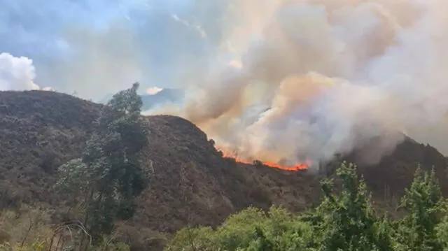 Incendio de grandes proporciones aún no es intervenido. Foto: Captura video familia Bellota Paredes.