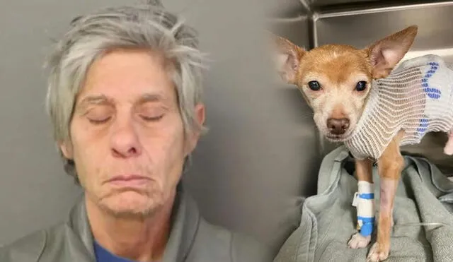 La mujer de 61 años fue detenida por la policía de Chicago. Foto: composición LR/ Chicago Police Department/Garrido Stray Rescue Foundation