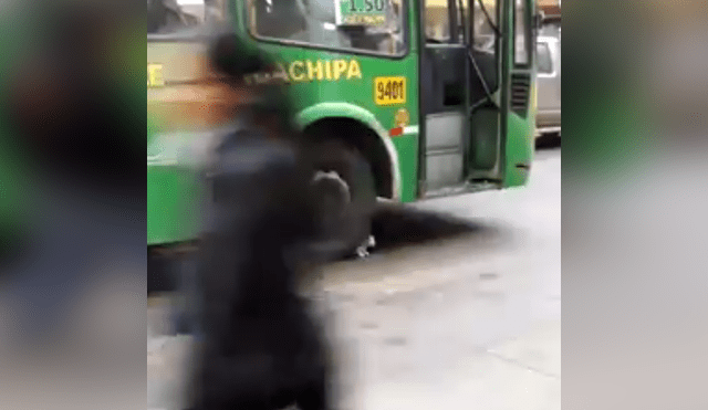 El video viral de Facebook muestra el momento en que un gato intenta suicidarse tras colocase frente a llanta de bus en Huachipa.