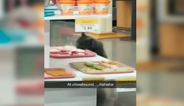 En YouTube, un travieso gato fue captado en el preciso momento que ‘robó’ las galletas de una tienda.