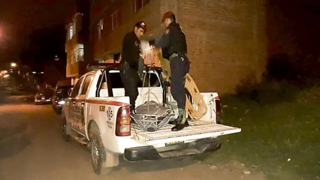 Dos perros pitbull atacan a anciana y le causan la muerte en Puno