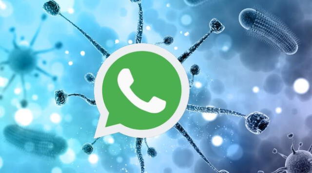 WhatsApp en alianza con la OMS lanzaron un chat en donde se informa sobre el coronavirus.