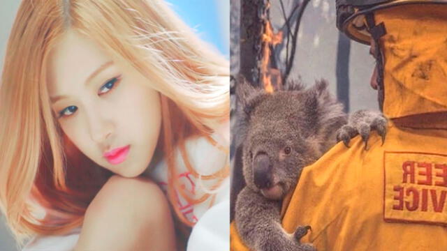 BLACKPINK: Rosé en Instagram y pide ayuda a animales afectados en incendios de Australia