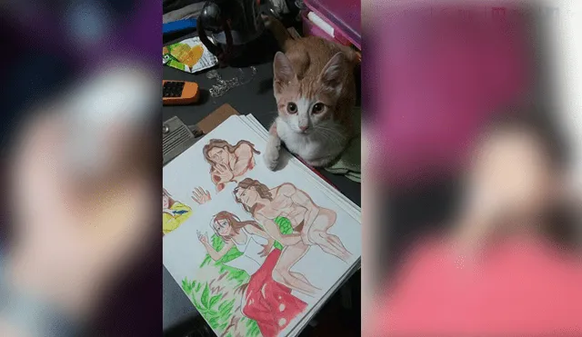 Desliza para ver el radical cambio de este gatito que enamoró a miles en Facebook. Foto: Captura.