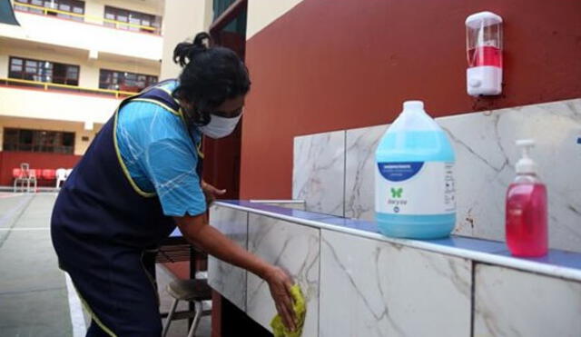 Los insumos serán destinados al correcto lavado de manos, el uso de los servicios higiénicos y la limpieza de los mismos. Foto: Proneid.
