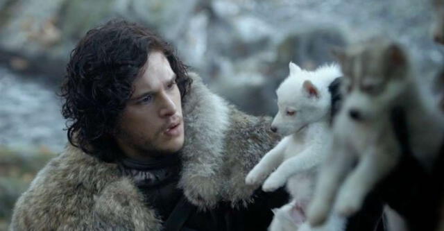 ¿Es Game of Thrones responsable del abandono masivo de perros Huskies en el Reino Unido?