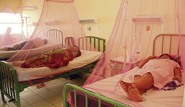 Piura: Talara y Tambogrande en alerta por incremento de casos de dengue