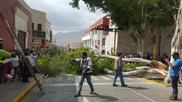 Parte de un árbol se cae en plaza de Armas y aplasta a un joven