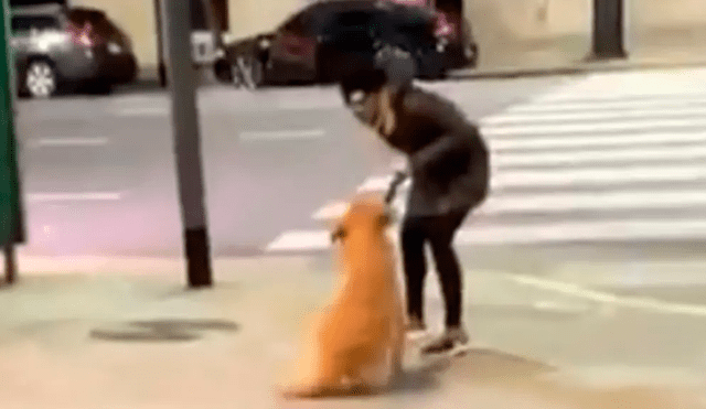 Graban a mujer que golpeó a su perro en plena vía pública. Foto: Captura/La Nación
