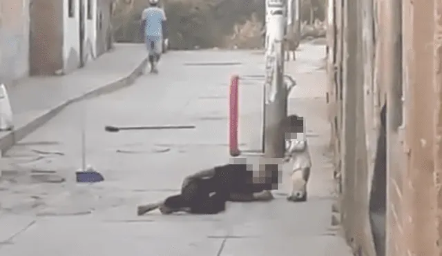 Ica: golpean a mujer y la dejan tirada en el piso junto a su hija [VIDEO]