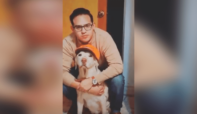 Desliza las imágenes hacia la izquierda para apreciar el emotivo homenaje de un joven a su perro.