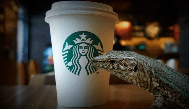 Denuncia que pidió un café en Starbucks y al beberlo encontró un lagarto en el interior [FOTO]