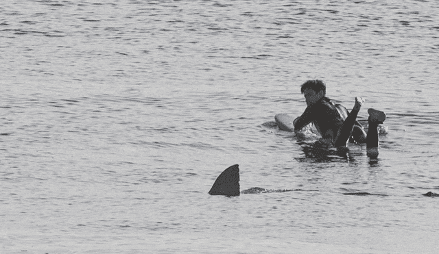 Gigantesco tiburón acecha a descuidado surfista y el desenlace sorprende en redes [FOTOS]
