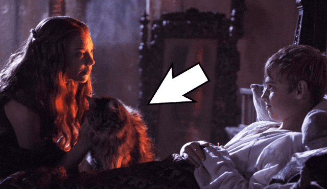 Game of Thrones: Productor reveló el trágico final del gato de Tommen Baratheon