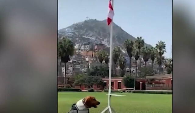 Las imágenes han llenado de orgullo a todos los peruanos. Foto: Captura/Facebook/PNP