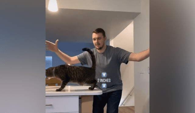 Desliza hacia la izquierda para ver el resultado del experimento que hizo un joven con su gato. Video es viral en YouTube.