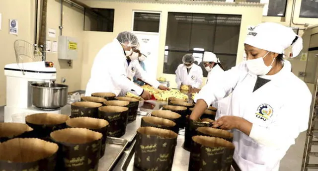 Universitarios de Juliaca elaboran panetones con granos andinos.