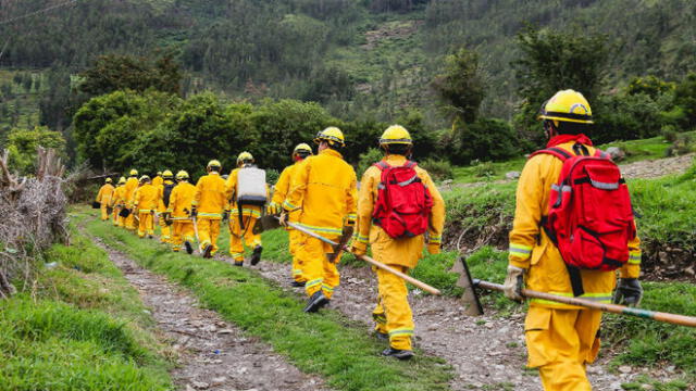 Bomberos forestales llegan a Arequipa para mitigar incendio que arrasa pastos naturales