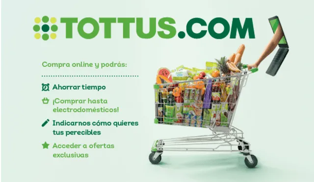 TOTTUS.COM: La plataforma de e-commerce de la cadena de hipermercados