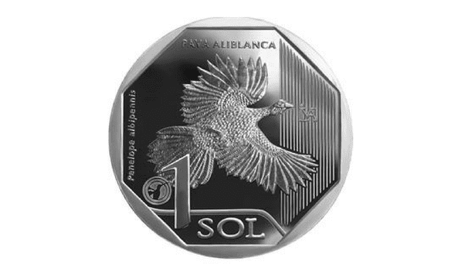 BCR pone en circulación nueva moneda de S/ 1, alusiva a la pava aliblanca [FOTOS]