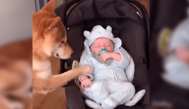 Mamá dejó prendida la cámara de su celular y cuando revisó las imágenes se llevó una gran sorpresa al ver singular episodio entre su bebé y su mascota. Video es viral en Facebook
