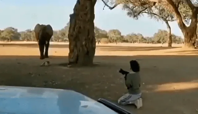 Facebook viral: enorme elefante tropieza con mujer y hace lo impensado para sacarla de su camino [VIDEO]