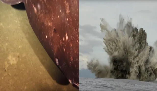 YouTube: misteriosa criatura de siete metros de largo vive en volcanes submarinos