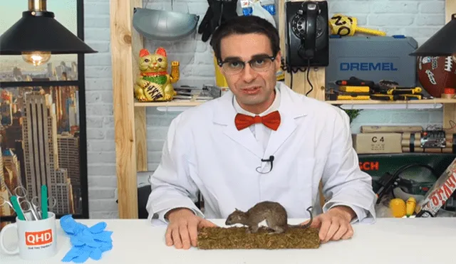 El youtuber del canal 'Curiosidades con Mike' examinó por dentro a una rata disecada.