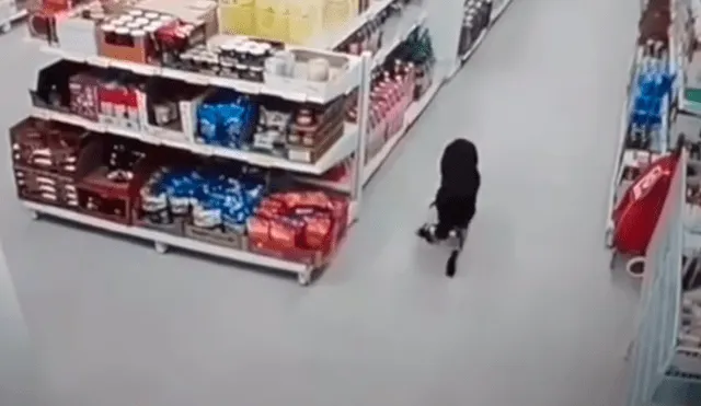 Desliza hacia la izquierda para ver las sorprendentes imágenes del perro sacando un paquete de un supermercado. Foto: captura de YouTube