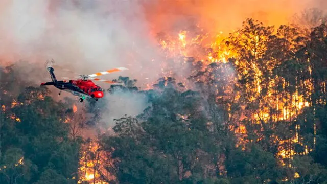 Incendios en Australia mataron al menos a 30 personas y a millones de animales. Foto: Difusión