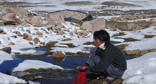 Arequipa, Puno, Tacna y Moquegua con temperaturas de 13 grados bajo cero