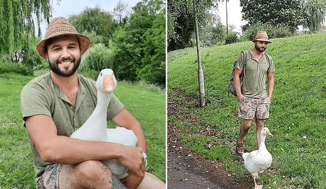 Un hombre incubó un huevo y ahora tiene un ganso de mascota. Foto: Facebook.