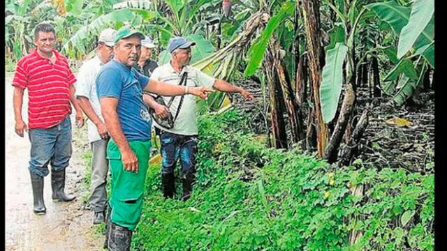 Tumbes: agricultores serán beneficiados con rehabilitación de bocatoma La Peña
