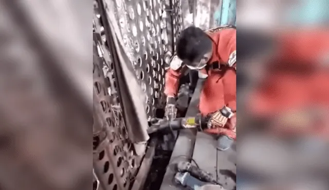 Desliza las imágenes para ver más de este rescate a dos perritos callejeros. (Foto: captura / YouTube)