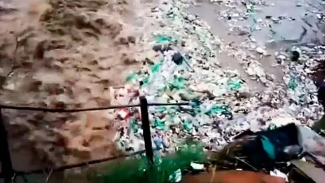 El video dejó constancia del grave problema que puede ocasionar el arrojo de botellas de plástico en los mares. Foto: captura de pantalla